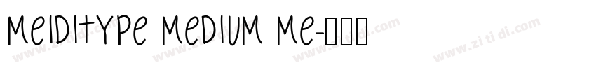 MEIDITYPE MEDIUM ME字体转换